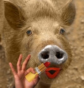 lipstick on a pig1225026721 285x300 AFL CIO New Ad Campaign